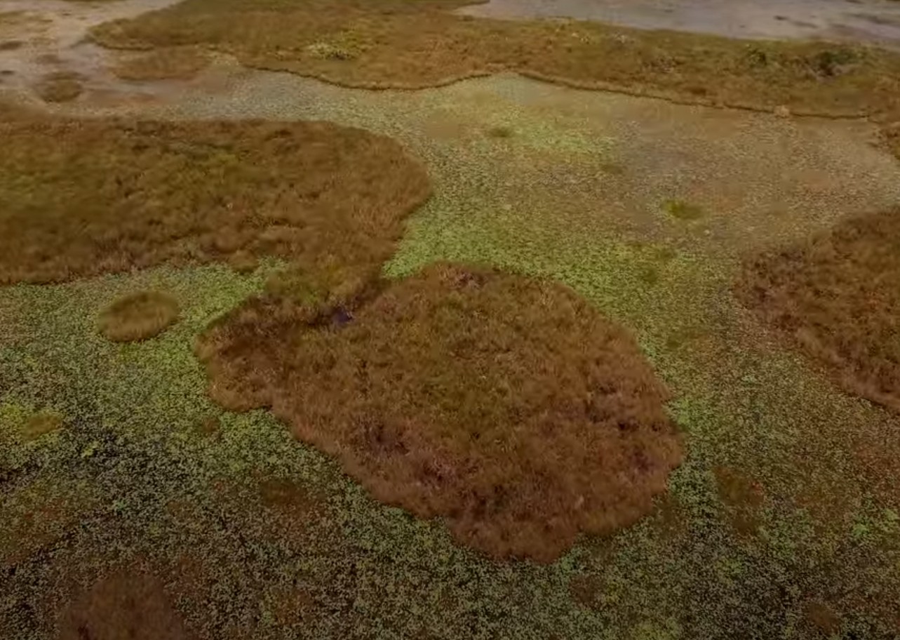 Aerial View of Loxahatchee National Wildlife Refuge