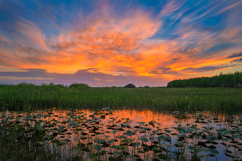 Arthur R. Marshall Loxahatchee National Wildlife Refuge at Sunset
