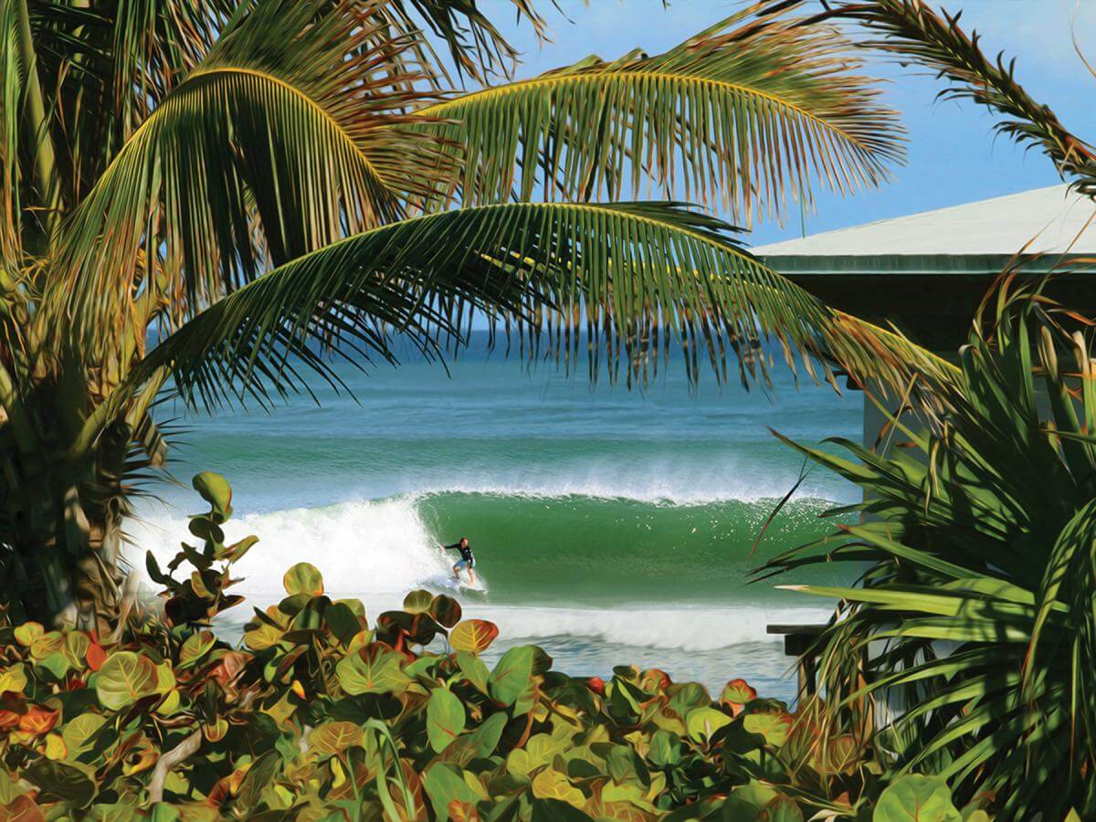 Oceanfront Park with Palm Trees and Ocean Waves