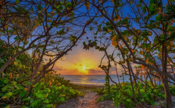 Juno Beach Pristine Beaches