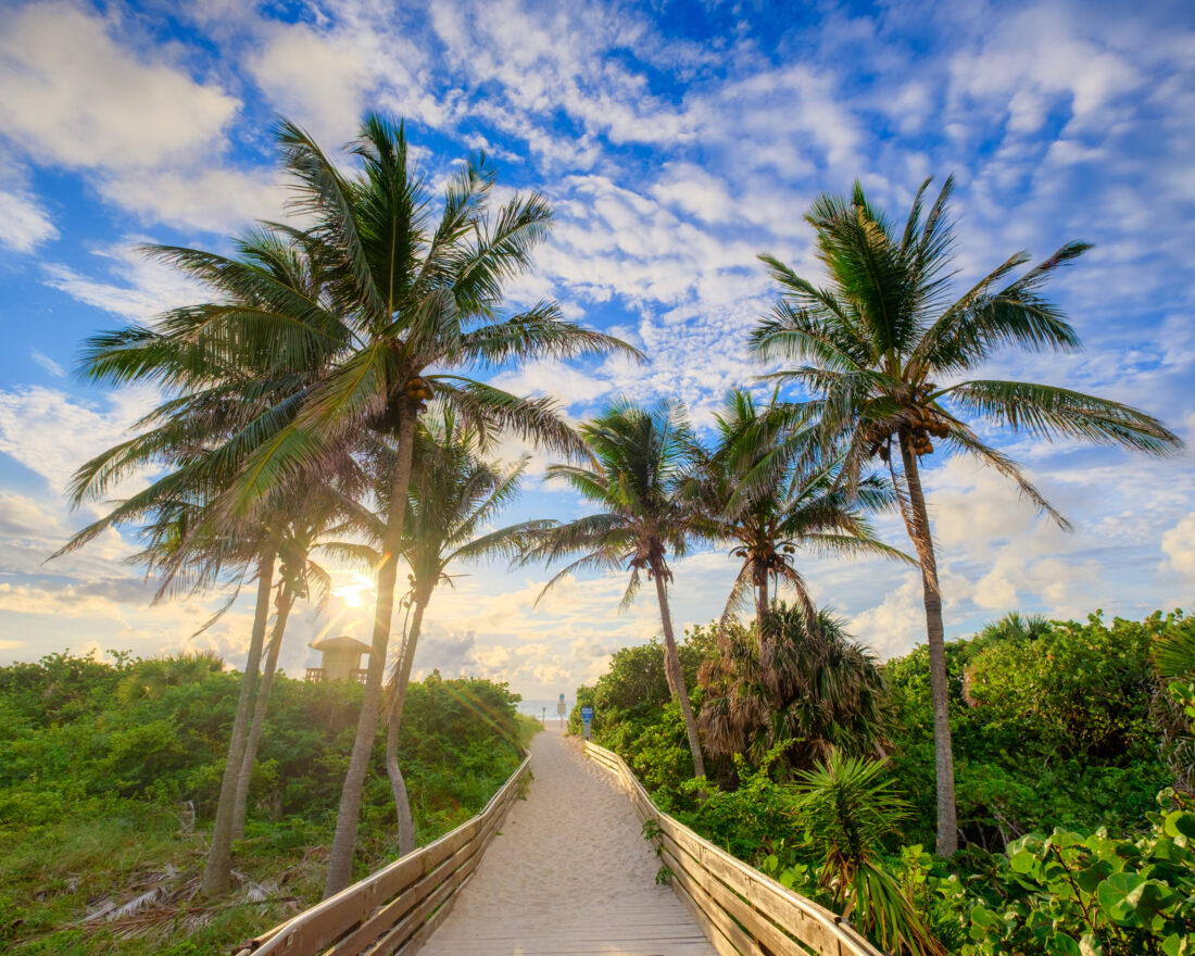 Ocean Reef Park Boardwalk