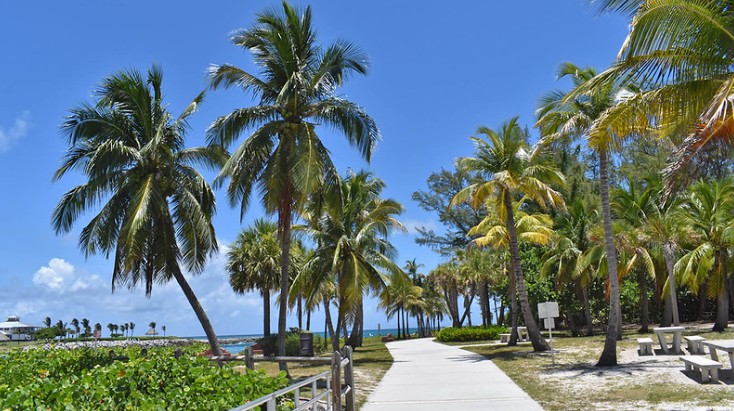 DuBois Park Nature Walkway