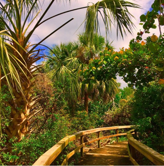 Nature Preserve Walkway