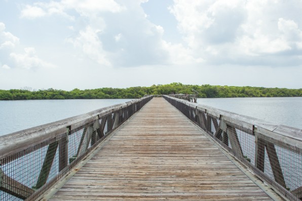 Wooden boardwalk through MacArthur State Park natural preserve