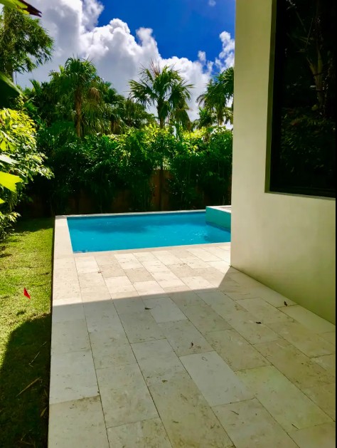Tropical Pool Deck with Palm Trees - Florida Style