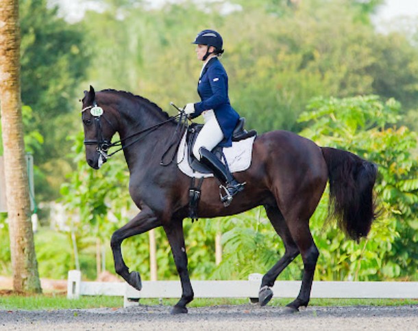 Professional Dressage Rider and Horse in Competition