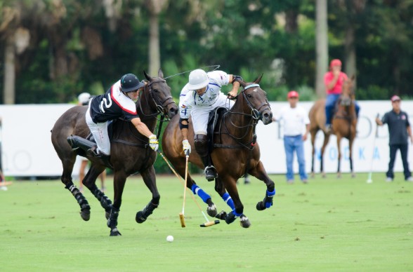 Intense Polo Match Action at Wellington Polo Club