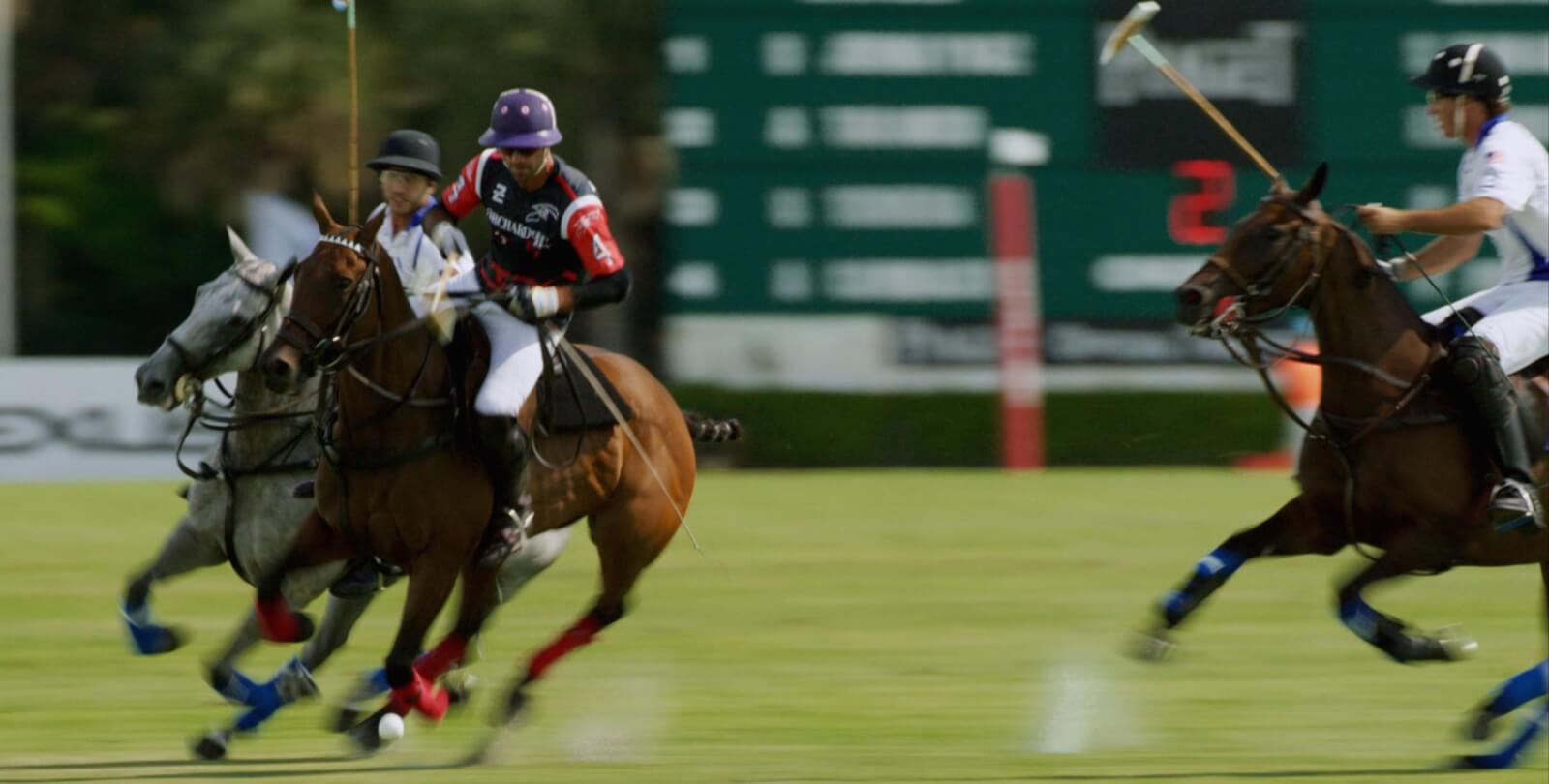 Evening Polo Match Action Under Stadium Lights